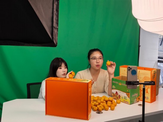 在江西省抚州市南丰县,工作人员正通过线上直播售卖南丰蜜桔。新华社记者 熊家林 摄