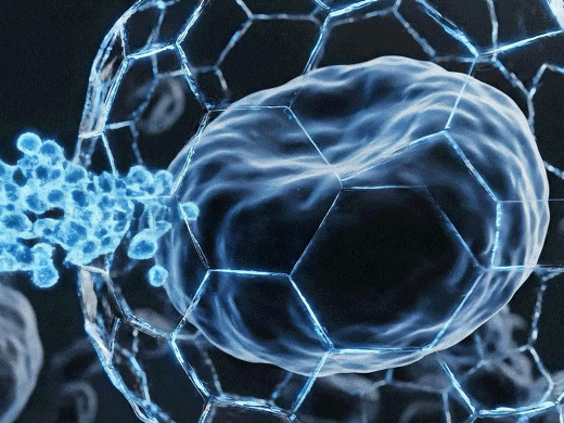 圖為iVAC進入腫瘤細胞后發揮作用的動圖。