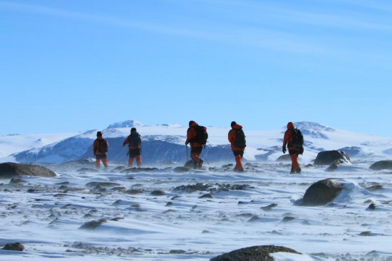 资料图片：北京师范大学教授张雁云作为中国第34次南极考察队队员在恩克斯堡岛与队友们行进，开展企鹅及栖息地研究。（受访者供图）