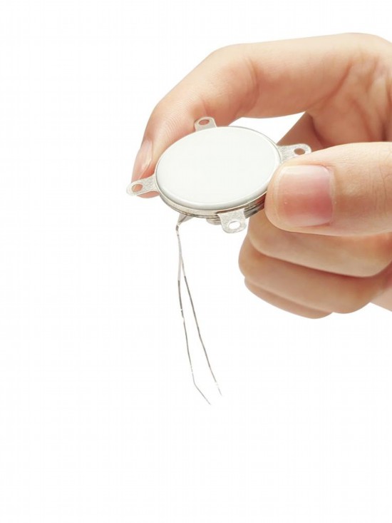 中國科學院腦科學與智能技術卓越創新中心研發的侵入式腦機接口植入體（2025年3月22日攝）。新華社發（陳垚旭 攝）