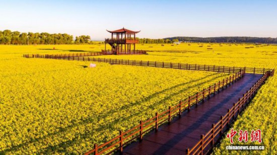 乔府大院生态体验区 受访者供图