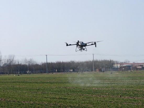 在河北省保定市望都县，植保无人机进行喷药作业。新华社记者 王昆 摄
